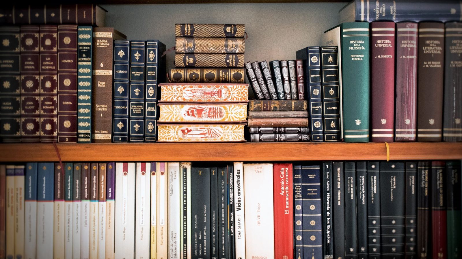Shelves of bound reference books in a library.